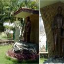 Blessed Edmund Ignatius Rice